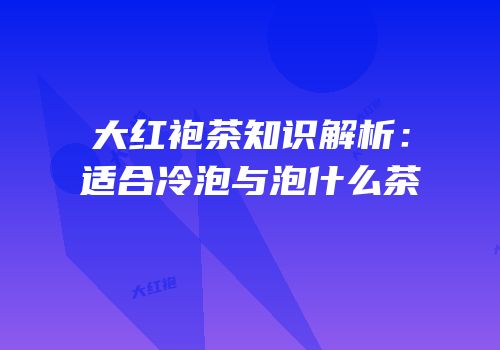 大红袍茶知识解析：适合冷泡与泡什么茶