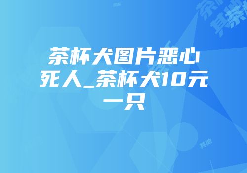 茶杯犬图片恶心死人_茶杯犬10元一只