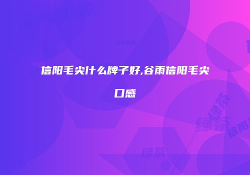 信阳毛尖什么牌子好,谷雨信阳毛尖口感