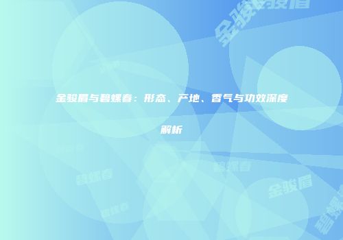 金骏眉与碧螺春：形态、产地、香气与功效深度解析