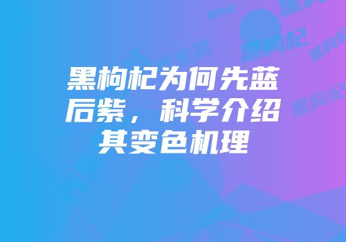 黑枸杞为何先蓝后紫，科学介绍其变色机理