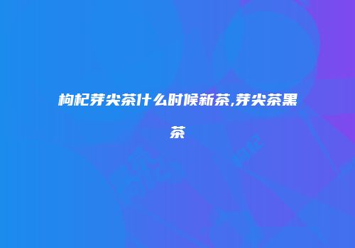 枸杞芽尖茶什么时候新茶,芽尖茶黑茶