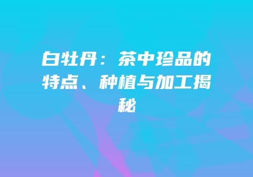 白牡丹：茶中珍品的特点、种植与加工揭秘