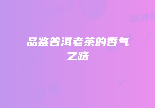 品鉴普洱老茶的香气之路