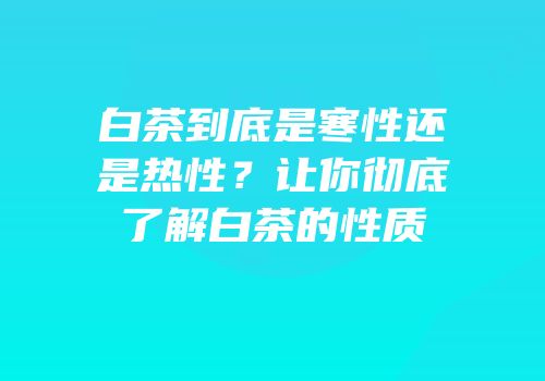 白茶到底是寒性还是热性？让你彻底了解白茶的性质