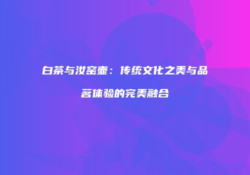 白茶与汝窑壶：传统文化之美与品茗体验的完美融合