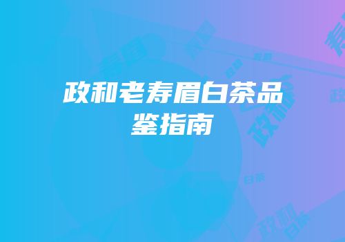 政和老寿眉白茶品鉴指南