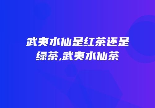 武夷水仙是红茶还是绿茶,武夷水仙茶
