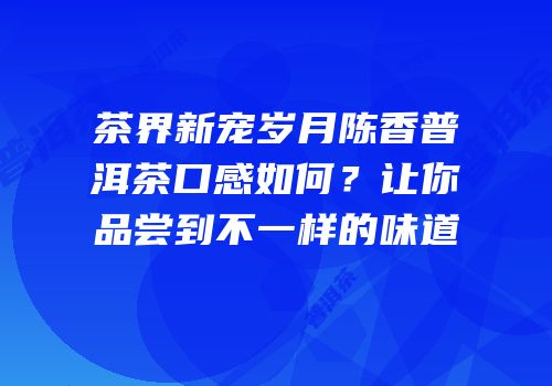 茶界新宠岁月陈香普洱茶口感如何？让你品尝到不一样的味道