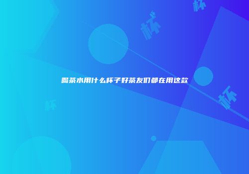 喝茶水用什么杯子好茶友们都在用这款