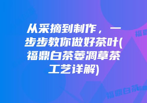 从采摘到制作，一步步教你做好茶叶(福鼎白茶萎凋草茶工艺详解)