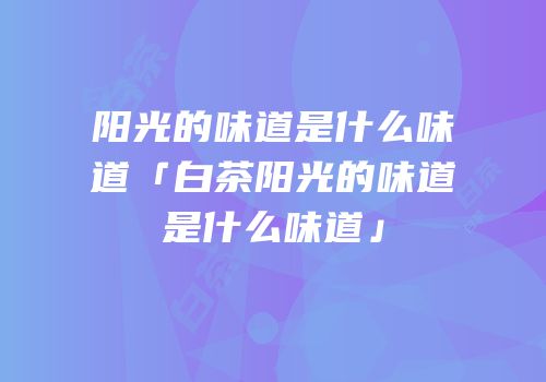 阳光的味道是什么味道「白茶阳光的味道是什么味道」