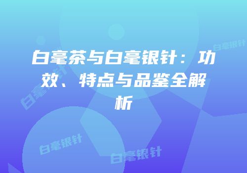 白毫茶与白毫银针：功效、特点与品鉴全解析