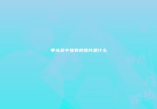 单丛茶中独有的雪片是什么