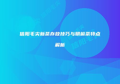 信阳毛尖新茶存放技巧与明前茶特点解析