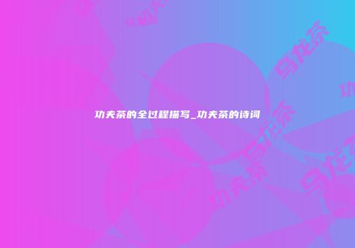 功夫茶的全过程描写_功夫茶的诗词