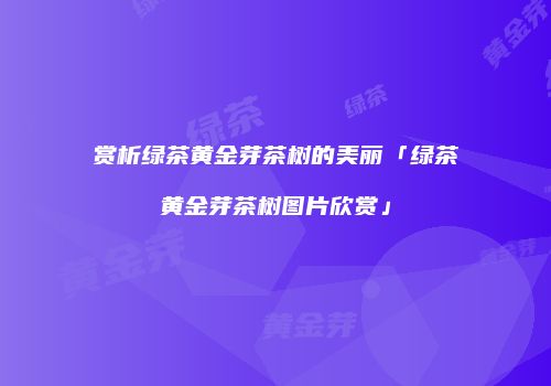 赏析绿茶黄金芽茶树的美丽「绿茶黄金芽茶树图片欣赏」