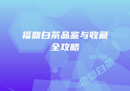 福鼎白茶品鉴与收藏全攻略