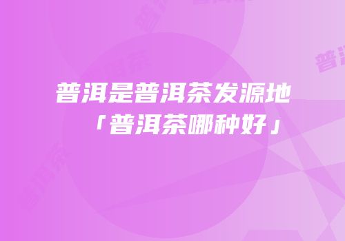 普洱是普洱茶发源地「普洱茶哪种好」