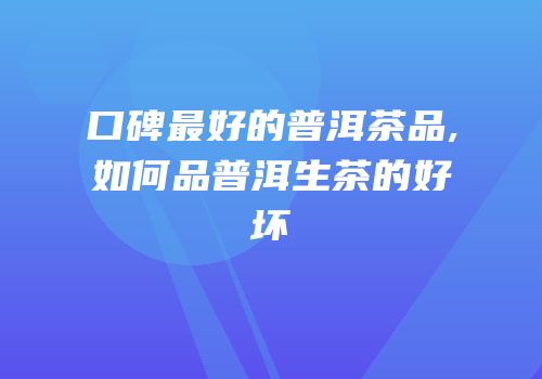 口碑最好的普洱茶品,如何品普洱生茶的好坏