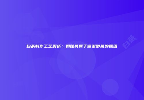 白茶制作工艺解析：揭秘其属于微发酵茶的原因