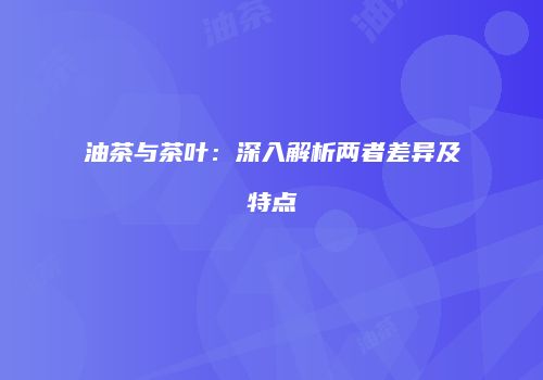 油茶与茶叶：深入解析两者差异及特点