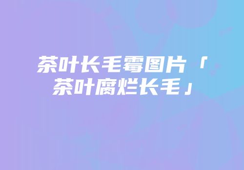 茶叶长毛霉图片「茶叶腐烂长毛」