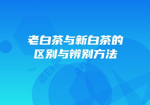 老白茶与新白茶的区别与辨别方法