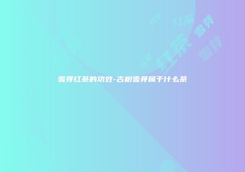 雪芽红茶的功效-古树雪芽属于什么茶