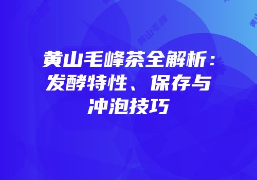 黄山毛峰茶全解析：发酵特性、保存与冲泡技巧
