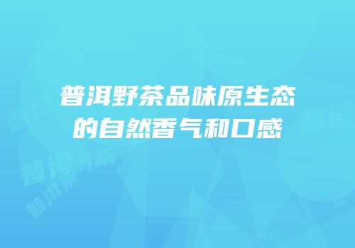 普洱野茶品味原生态的自然香气和口感