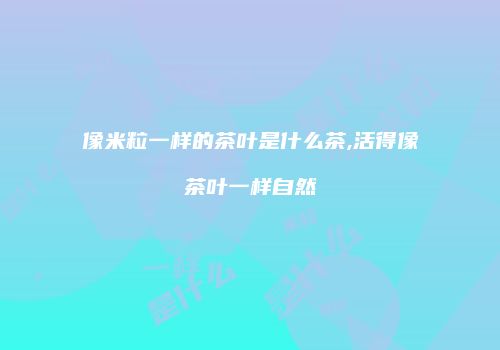 像米粒一样的茶叶是什么茶,活得像茶叶一样自然