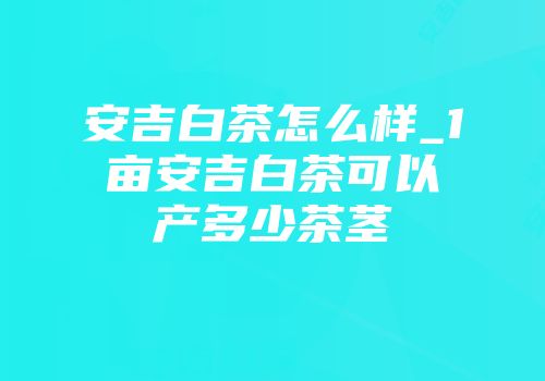 安吉白茶怎么样_1亩安吉白茶可以产多少茶茎