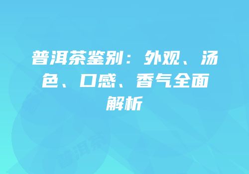 普洱茶鉴别：外观、汤色、口感、香气全面解析