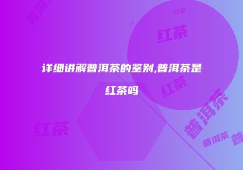 详细讲解普洱茶的鉴别,普洱茶是红茶吗