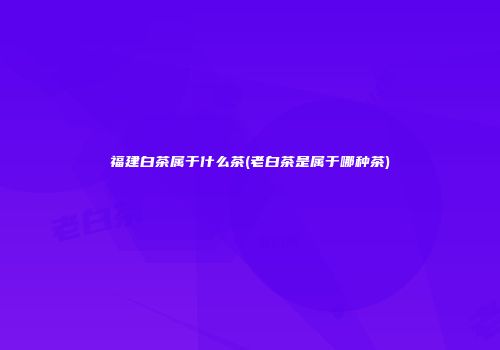 福建白茶属于什么茶(老白茶是属于哪种茶)