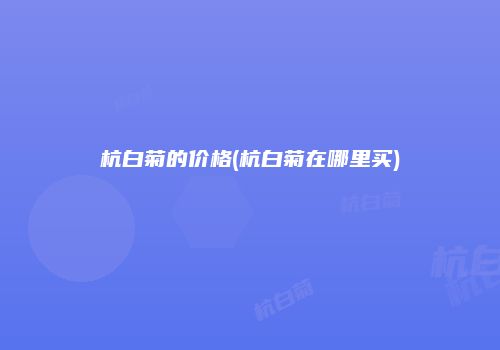 杭白菊的价格(杭白菊在哪里买)