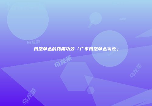 凤凰单丛的药用功效「广东凤凰单丛功效」