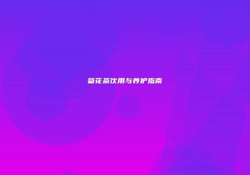 菊花茶饮用与养护指南