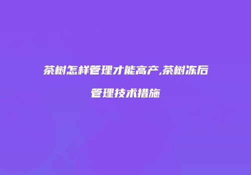 茶树怎样管理才能高产,茶树冻后管理技术措施