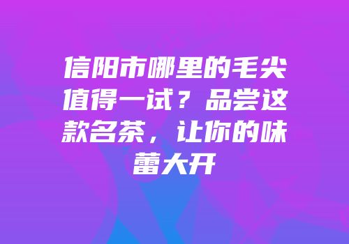 信阳市哪里的毛尖值得一试？品尝这款名茶，让你的味蕾大开