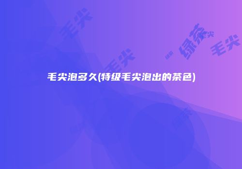 毛尖泡多久(特级毛尖泡出的茶色)