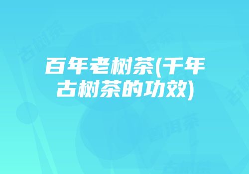 百年老树茶(千年古树茶的功效)