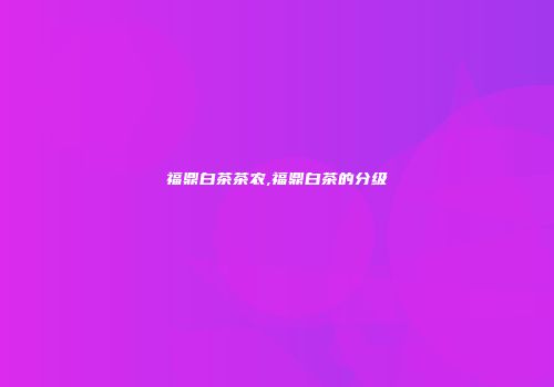 福鼎白茶茶农,福鼎白茶的分级