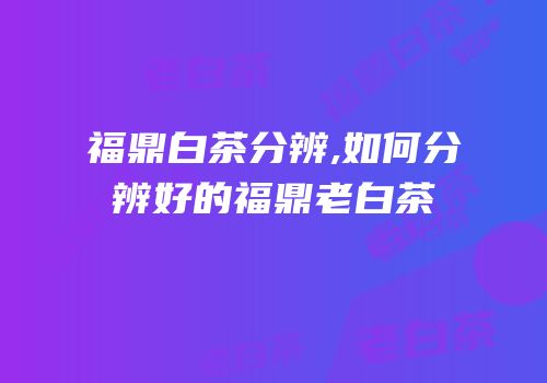 福鼎白茶分辨,如何分辨好的福鼎老白茶