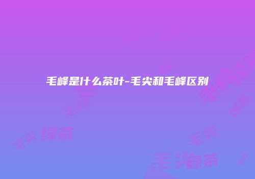 毛峰是什么茶叶-毛尖和毛峰区别