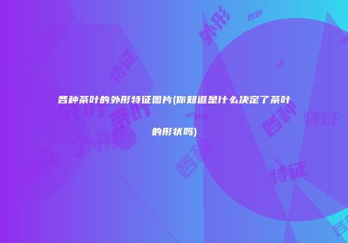 各种茶叶的外形特征图片(你知道是什么决定了茶叶的形状吗)