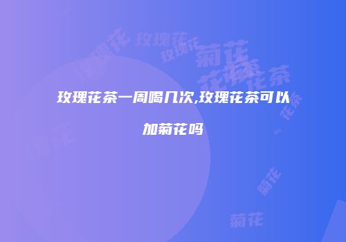 玫瑰花茶一周喝几次,玫瑰花茶可以加菊花吗