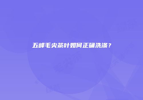 五峰毛尖茶叶如何正确洗涤？