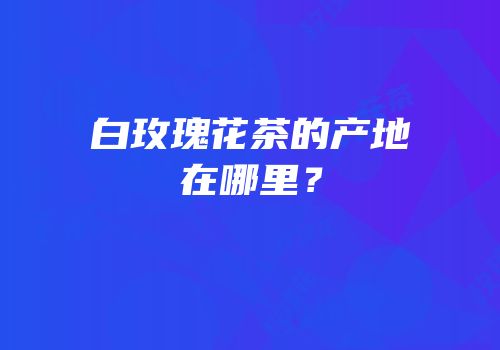 白玫瑰花茶的产地在哪里？
